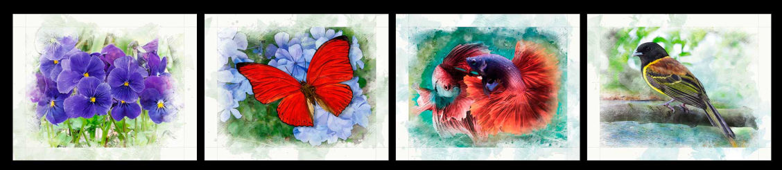 Vida & Color 2.0