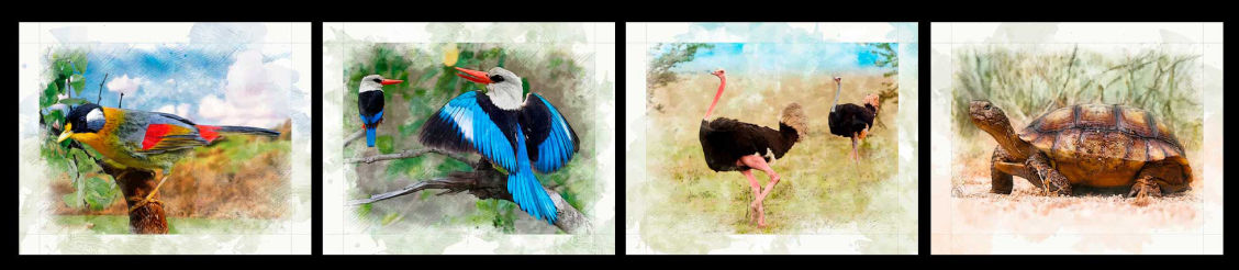 vida & color 2.0